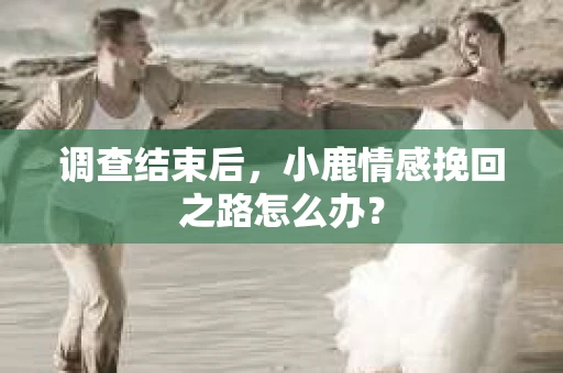 调查结束后，小鹿情感挽回之路怎么办？