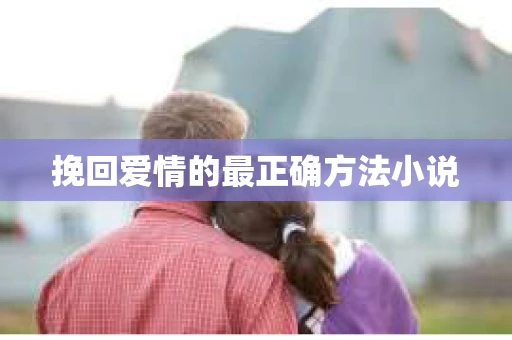 挽回爱情的最正确方法小说