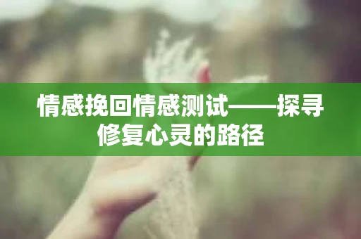 情感挽回情感测试——探寻修复心灵的路径