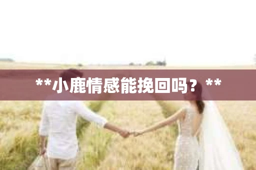 **小鹿情感能挽回吗？**