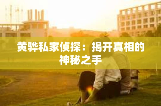 黄骅私家侦探：揭开真相的神秘之手