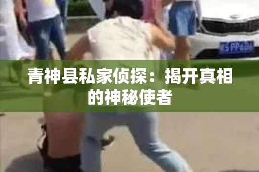 青神县私家侦探：揭开真相的神秘使者