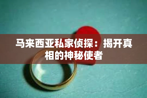 马来西亚私家侦探：揭开真相的神秘使者