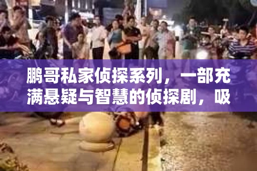 鹏哥私家侦探系列，一部充满悬疑与智慧的侦探剧，吸引了无数观众的眼球。今天，就让我带你走进这个充满神秘色彩的侦探世界，一起在线观看鹏哥私家侦探系列，感受那扣人心弦的故事情节。