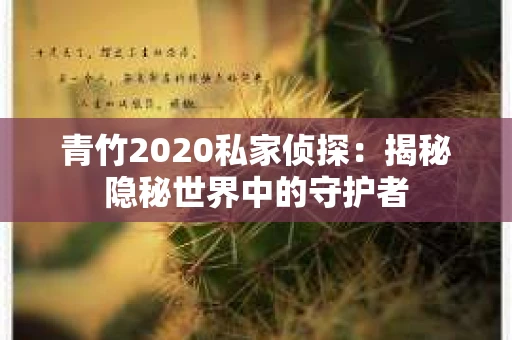 青竹2020私家侦探：揭秘隐秘世界中的守护者