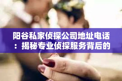 阳谷私家侦探公司地址电话：揭秘专业侦探服务背后的故事