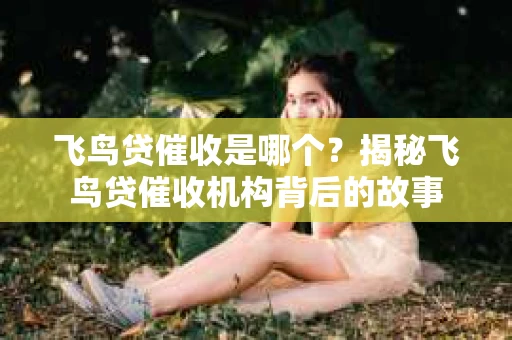 飞鸟贷催收是哪个？揭秘飞鸟贷催收机构背后的故事