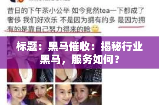标题：黑马催收：揭秘行业黑马，服务如何？