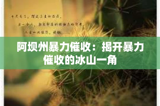 阿坝州暴力催收：揭开暴力催收的冰山一角