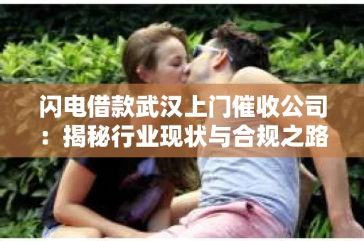 闪电借款武汉上门催收公司：揭秘行业现状与合规之路
