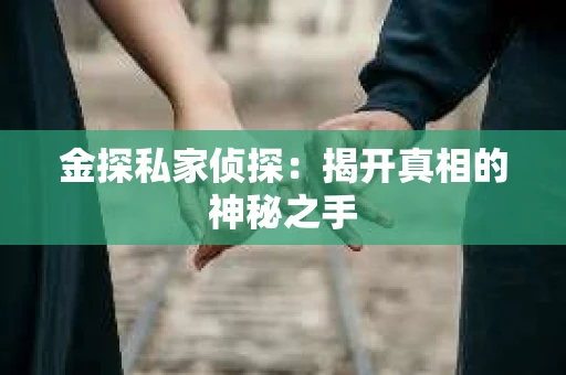 金探私家侦探：揭开真相的神秘之手