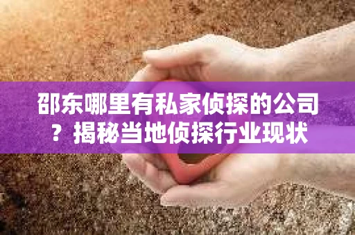 邵东哪里有私家侦探的公司？揭秘当地侦探行业现状