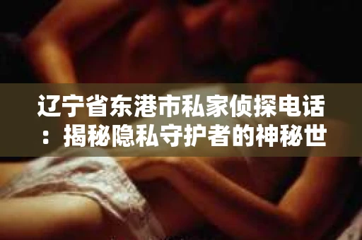 辽宁省东港市私家侦探电话：揭秘隐私守护者的神秘世界