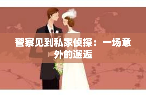 警察见到私家侦探：一场意外的邂逅
