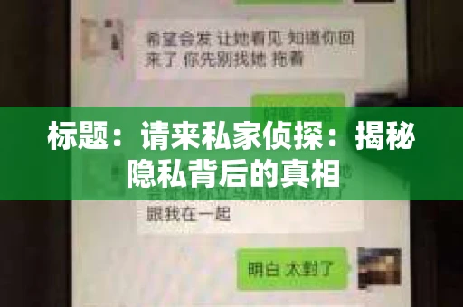 标题：请来私家侦探：揭秘隐私背后的真相