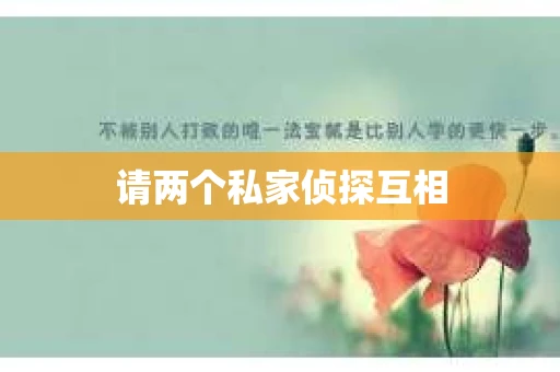 请两个私家侦探互相