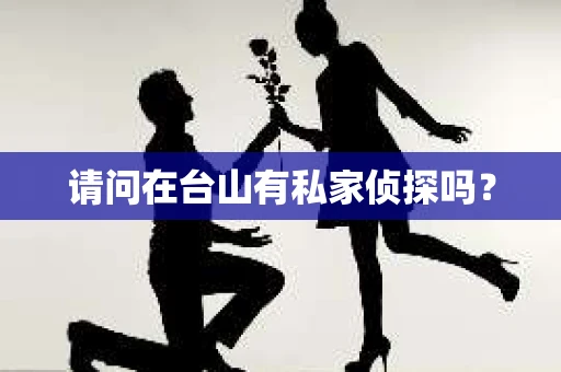 请问在台山有私家侦探吗？