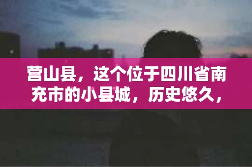 营山县，这个位于四川省南充市的小县城，历史悠久，风景秀丽。但在这个宁静的小县城里，你是否会好奇，有没有私家侦探的存在呢？今天，我就来和大家聊聊这个话题。