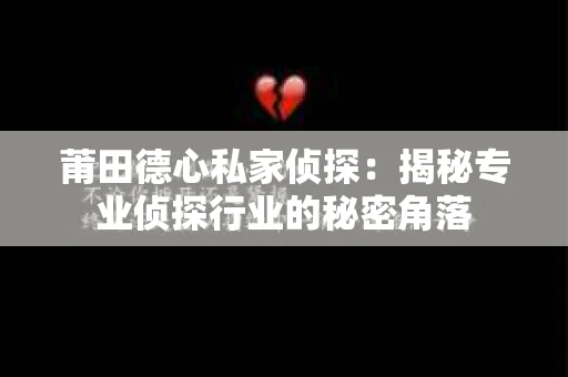 莆田德心私家侦探：揭秘专业侦探行业的秘密角落