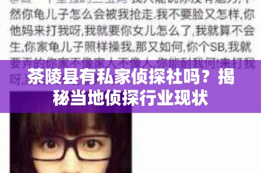 茶陵县有私家侦探社吗？揭秘当地侦探行业现状