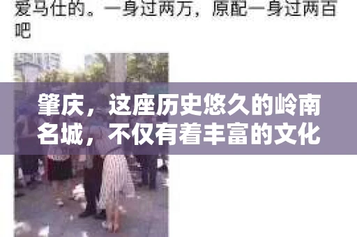 肇庆，这座历史悠久的岭南名城，不仅有着丰富的文化遗产，还有着独特的现代生活节奏。在这个城市里，你是否曾有过需要帮助解决一些棘手问题的时候？或许，你听说过肇庆有私家侦探，那么，他们究竟是怎样的存在呢？