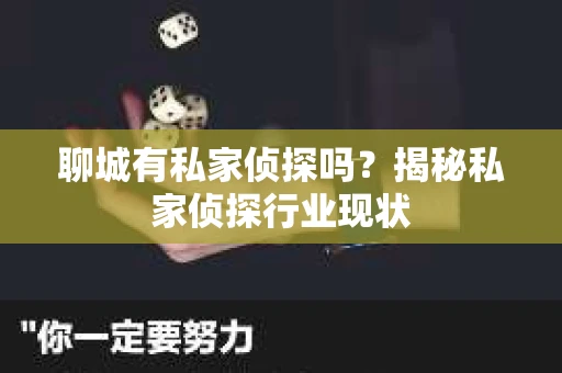聊城有私家侦探吗？揭秘私家侦探行业现状