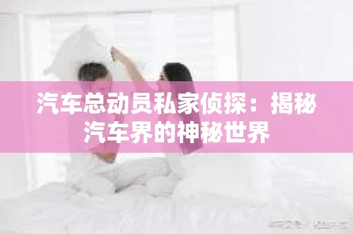 汽车总动员私家侦探：揭秘汽车界的神秘世界
