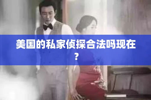 美国的私家侦探合法吗现在？