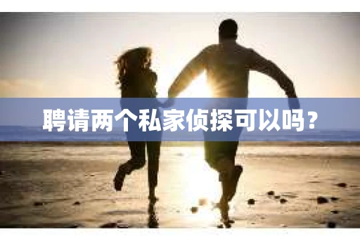 聘请两个私家侦探可以吗？