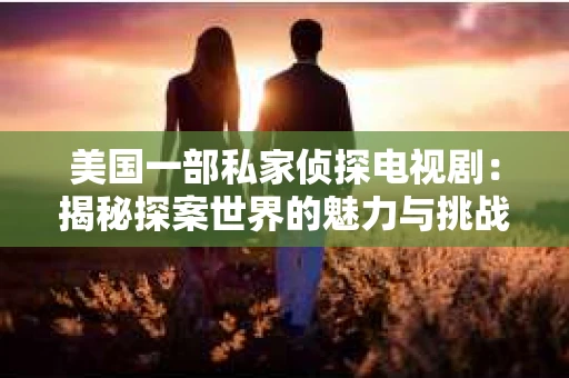 美国一部私家侦探电视剧：揭秘探案世界的魅力与挑战