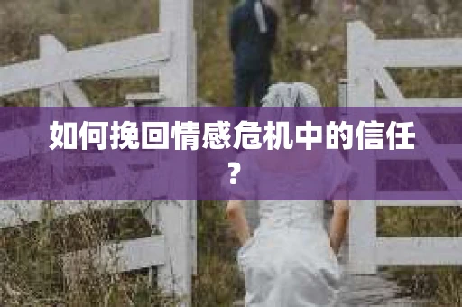 如何挽回情感危机中的信任？