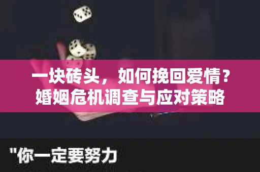 一块砖头，如何挽回爱情？婚姻危机调查与应对策略