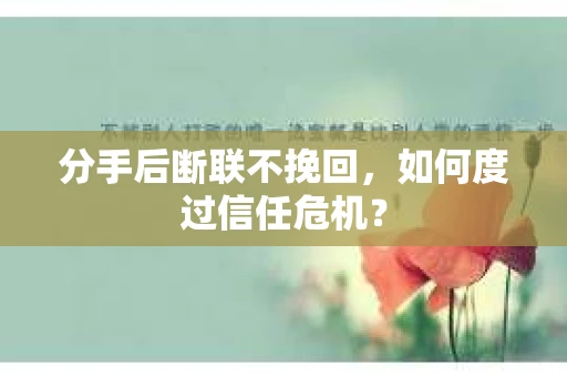 分手后断联不挽回，如何度过信任危机？