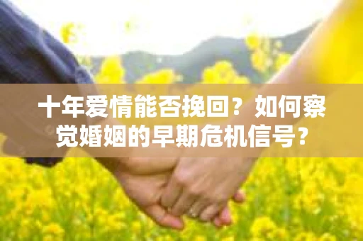 十年爱情能否挽回？如何察觉婚姻的早期危机信号？