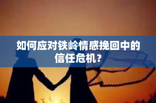 如何应对铁岭情感挽回中的信任危机？